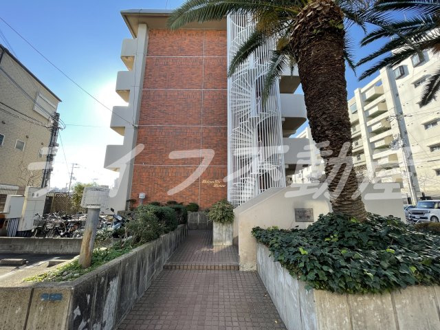 メゾンドール水野のエントランス|エントランスです