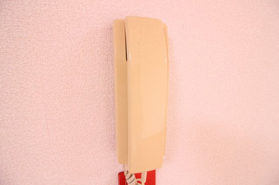 【セキュリティ】 | ミレニアム21