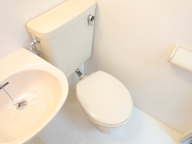 イオチハイツ5号棟のトイレ