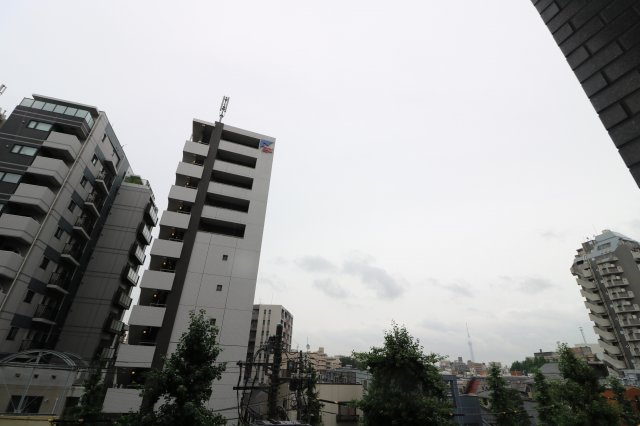 【展望】