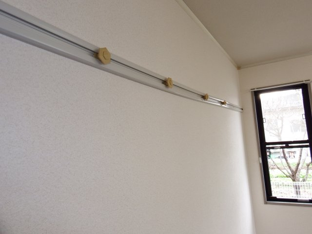 ボヌール峯のその他