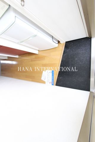 レオパレスグランドゥールの玄関|他部屋参照　家電無し