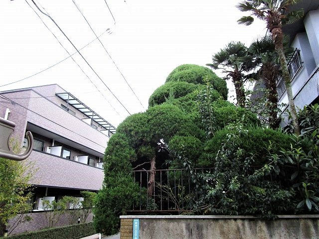 Lumiere自由が丘の展望