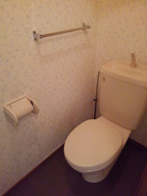 グレートビレッジのトイレ