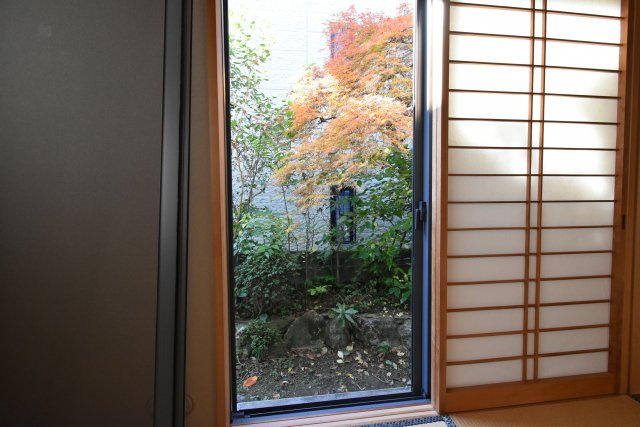 ヤマダニシコダテの展望