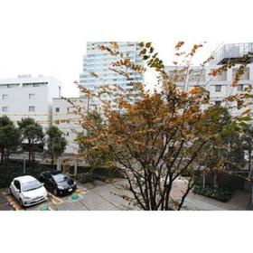 【展望】 | リバー＆タワー