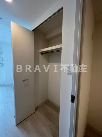 アドバンス上町台シュタット　BRAVI不動産の収納|【アドバンス上町台シュタット】ちょっとした収納スペースも充実しています
