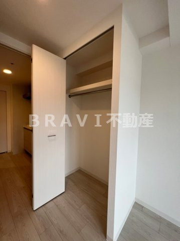 アドバンス上町台シュタット　BRAVI不動産の収納|【アドバンス上町台シュタット】収納のためのスペースです