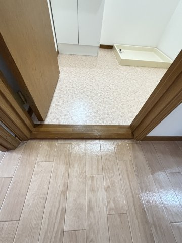 西皆生スカイタウンB棟の洗面所