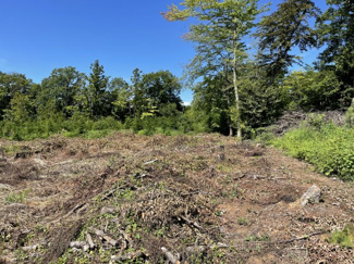 【外観】 | 敷地の西側奥の雰囲気