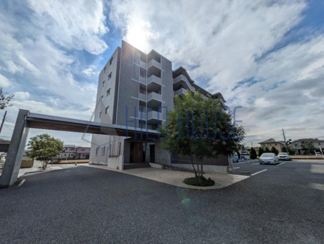 ルネスセードルの画像