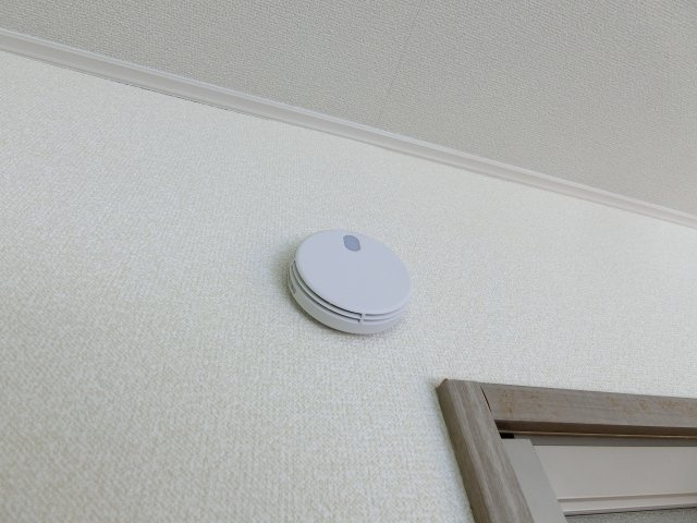 セルラヴィーヌのその他