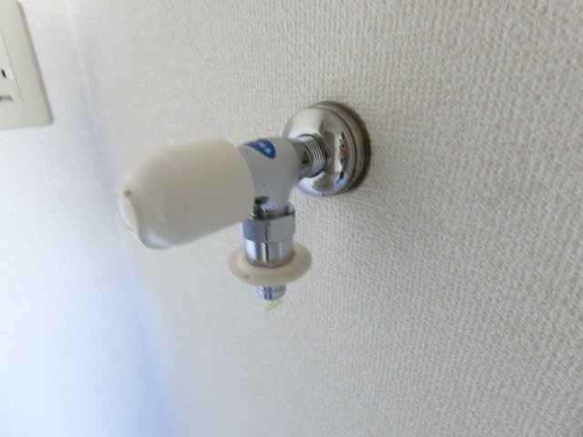 セルラヴィーヌのその他