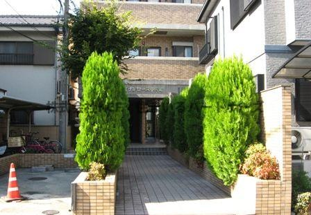 サンセーヌ中央町のエントランス|エントランスです