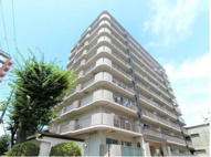 大淀セントポリアの画像