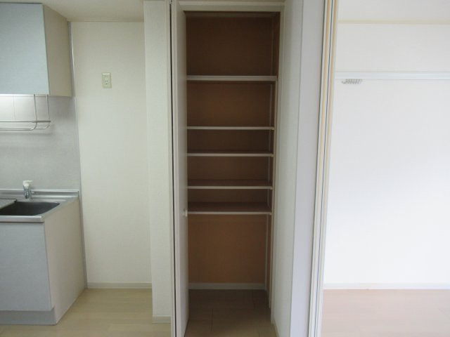 ディアスクリビアの収納|こまごまとしたものを収納できそうですね