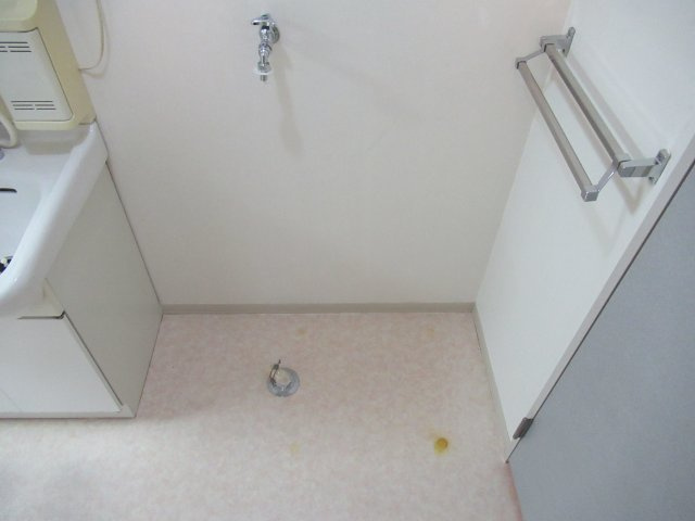 ディアスクリビアのその他