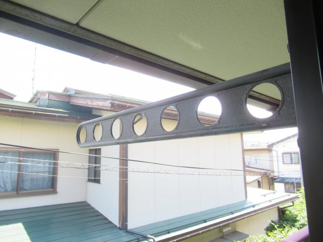 ディアスクリビアのその他