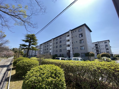 【外観】 | 中登美団地B棟
