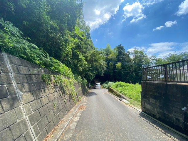 日の出町平井売地のその他|北側公道より撮影。