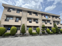 アーバンラファエロの画像
