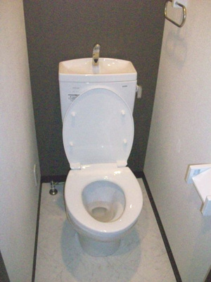 【トイレ】 | リテラ県庁西(リテラケンチョウニシ) | 別号室の写真になります。現況優先。