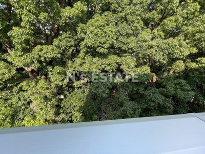 【展望】 | ワコーレヴィータ和田宮通