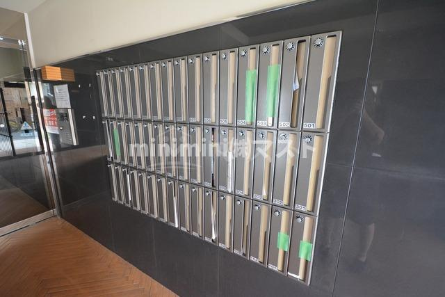 FDS amoreのその他共用部分|別号室参考写真