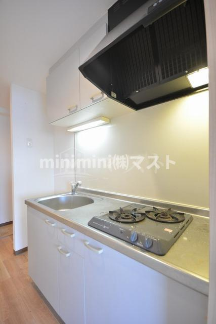 FDS amoreのキッチン|別号室参考写真