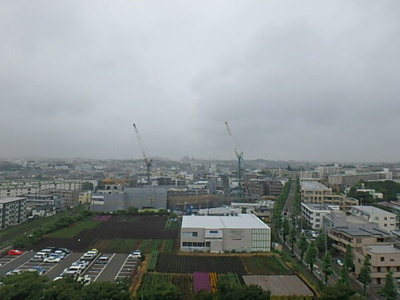 【展望】 | BLESS宮崎台 ブレス宮崎台