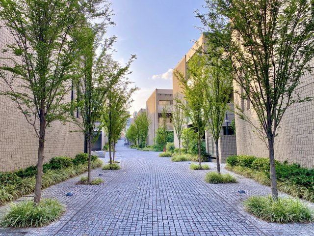 マジェス元麻布ガーデンズ D棟の画像