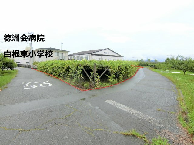 南アルプス市西野ビッグステージ近く４８９坪