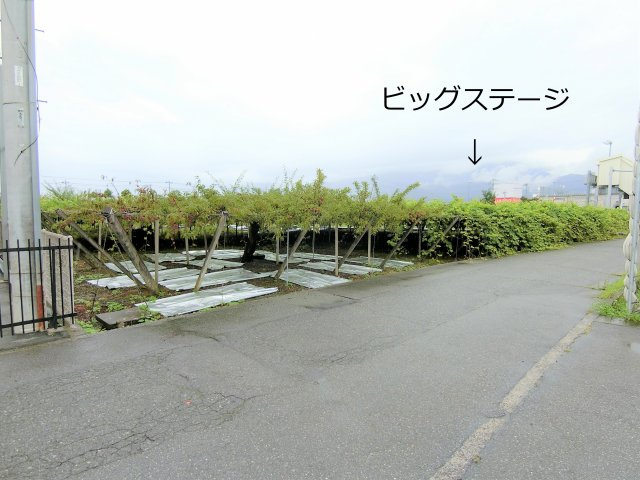 南アルプス市西野ビッグステージ近く４８９坪