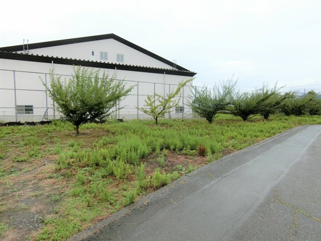 南アルプス市西野ビッグステージ近く４８９坪