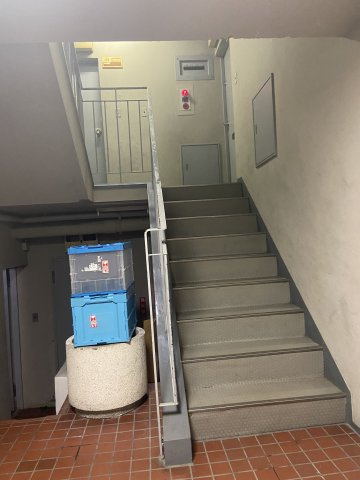 ビルマーサのその他