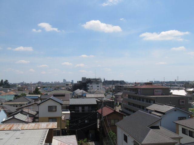 ダイアパレス川越岸町の展望