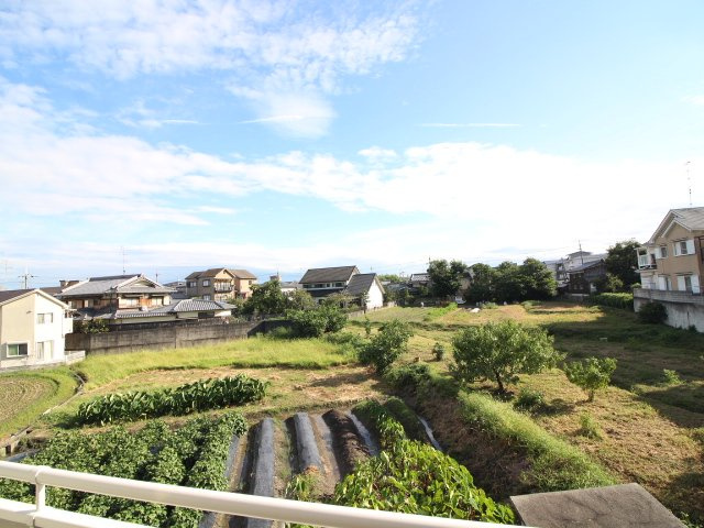 WIN68の展望