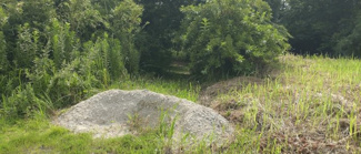 【前面道路含む現地写真】 | 富里市十倉　土地　八街駅 | 閑静な場所になります。