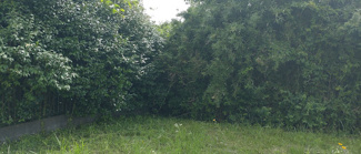 【外観】 | 富里市十倉　土地　八街駅 | 緑に囲まれた土地です。