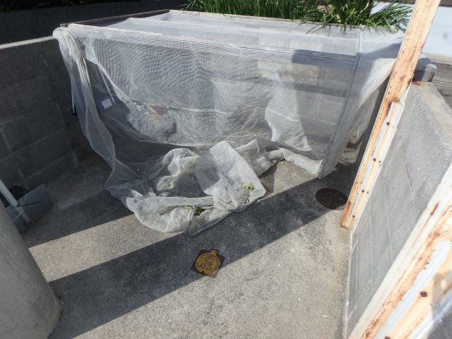 ビューリバー豊成のその他