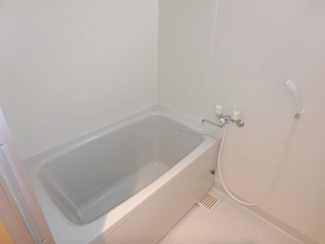 ビューリバー豊成の浴室