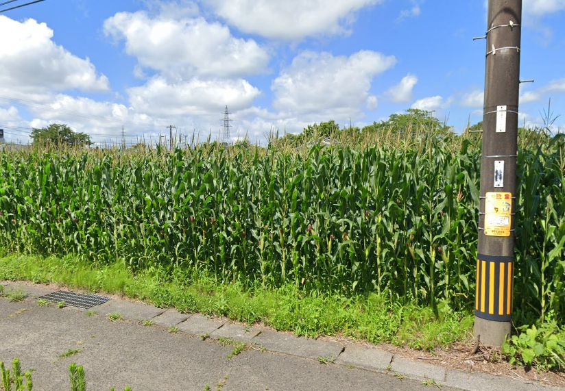 都城市上水流町の売地の外観