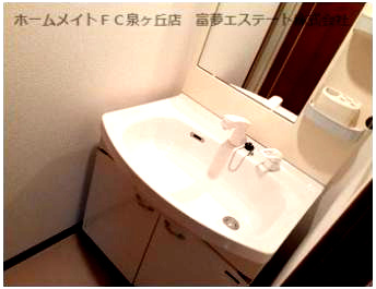 フジパレス式内町Ⅲ番館の洗面所|広い洗面スペース