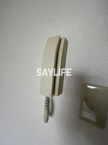 PALACE 50のセキュリティ