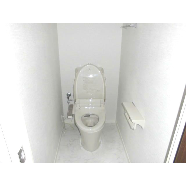 熊本市南区御幸笛田７丁目のアパートのトイレ