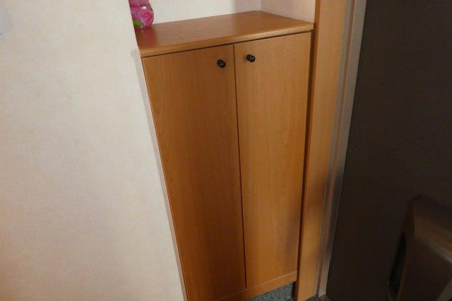 グリーンパレスⅢの内装|シューズボックス
