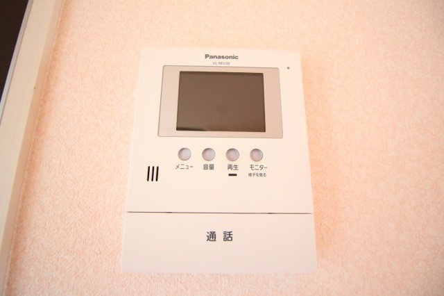 ヴァンドミール流田のセキュリティ