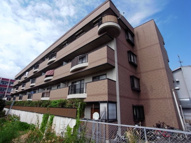 アルブルの画像