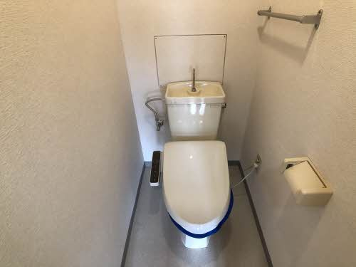 岸和田市土生町２丁目の賃貸マンションのトイレ|トイレも気になるポイント