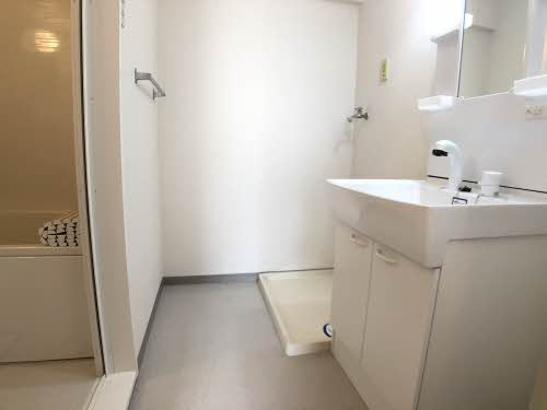 岸和田市土生町２丁目の賃貸マンションの洗面所|広い洗面スペース